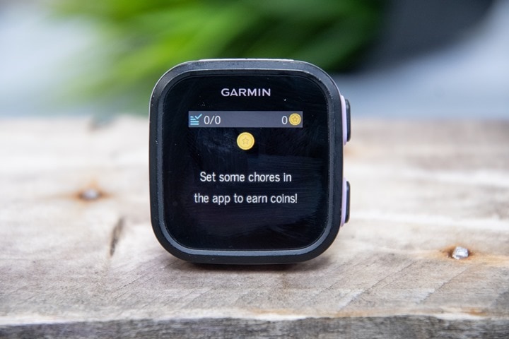 Garmin-Bounce-Chores