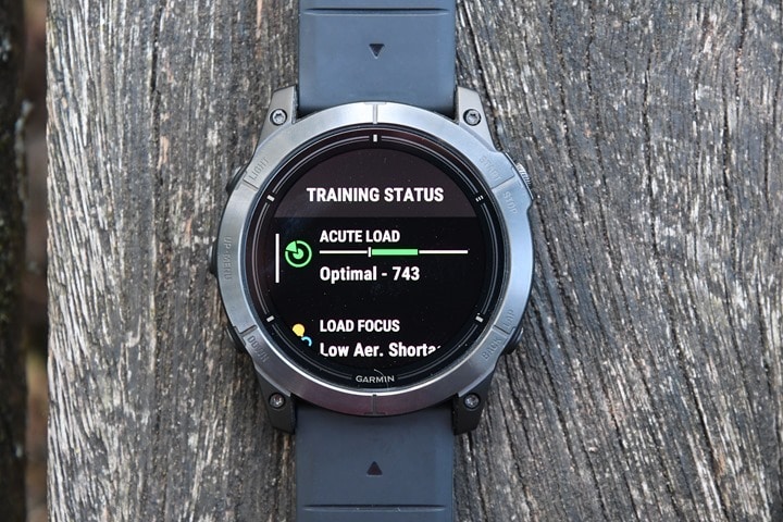 Garmin Fenix 6X Pro Multisport GPS Smartwatch — Recovery For Athletes