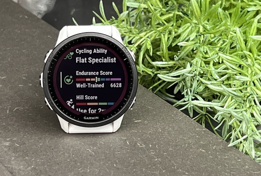 Garmin Beta 15.11 now available for Forerunner 955 and 255 -   News