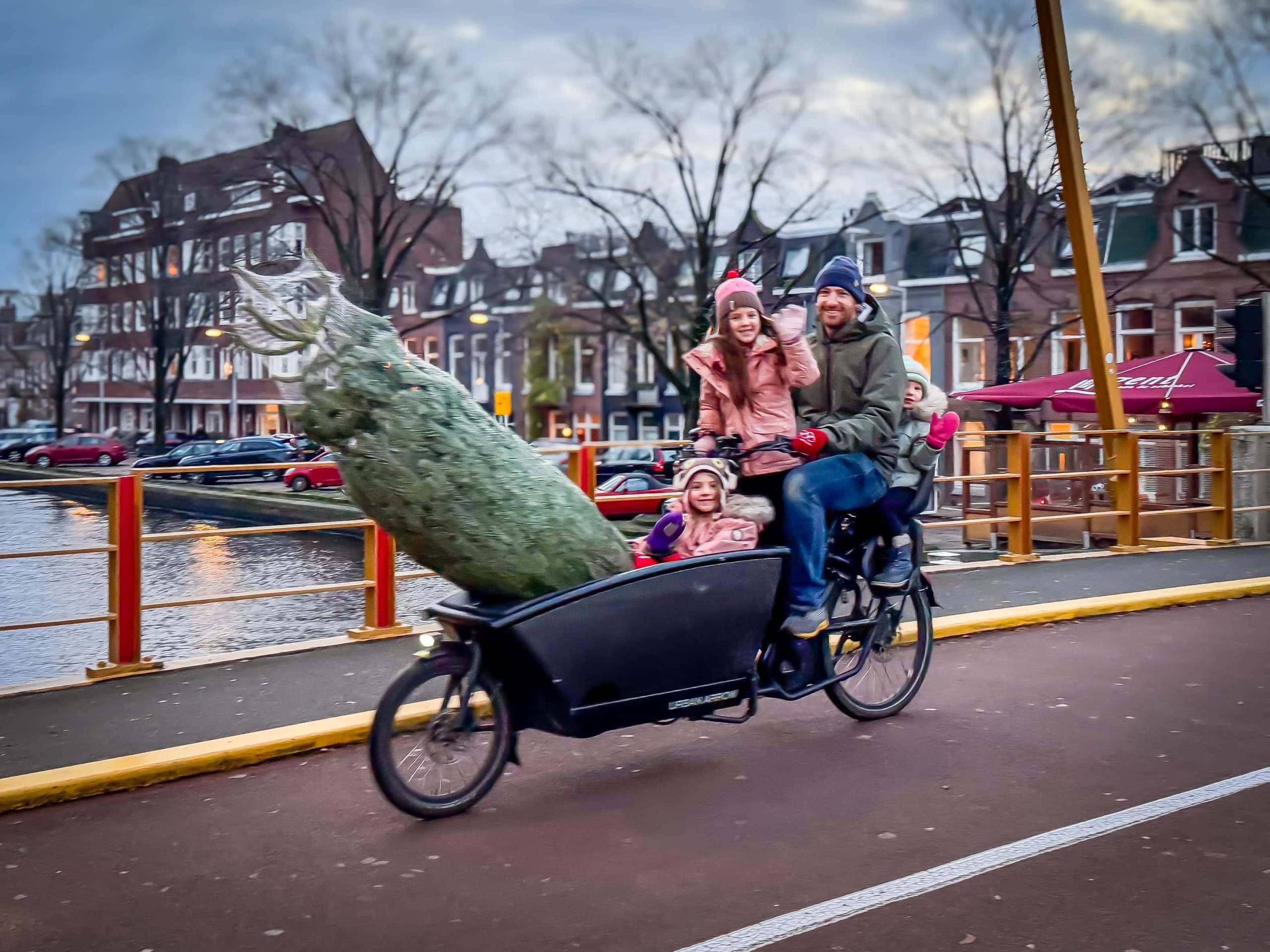 Getting the Christmas Tree Home via Bike 2023 Edition DC Rainmaker
