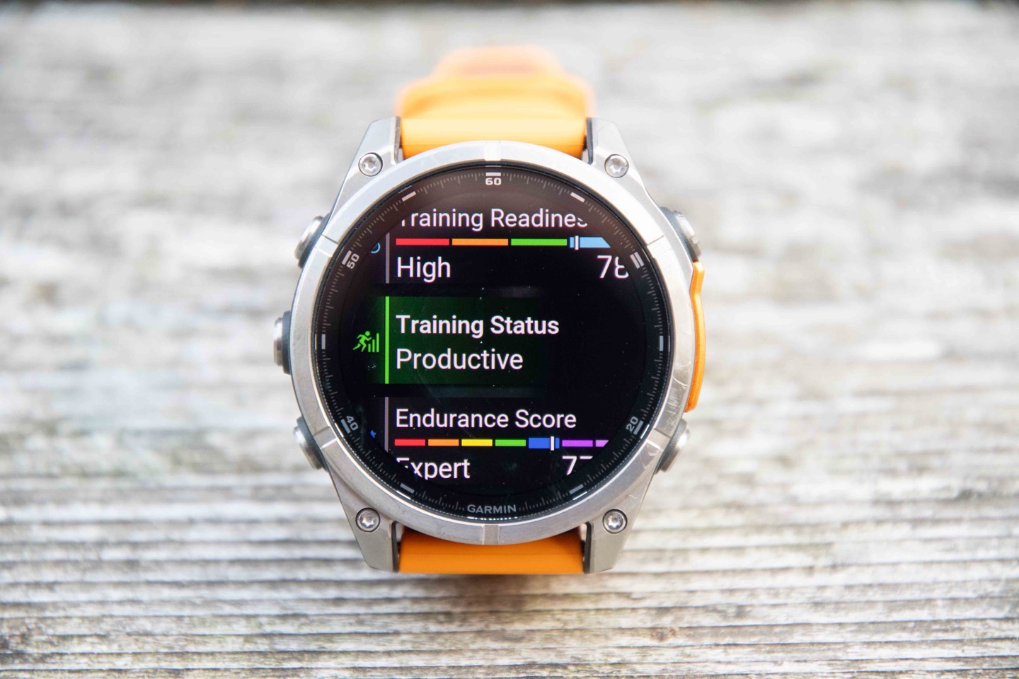 Garmin Fenix 8 - Figure 9