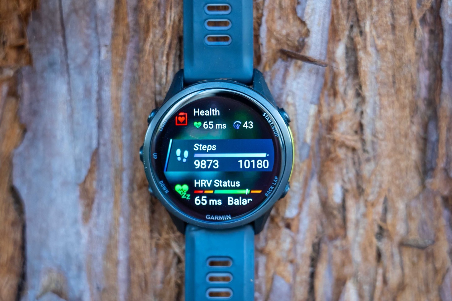 GarminFR970 TheBasics.