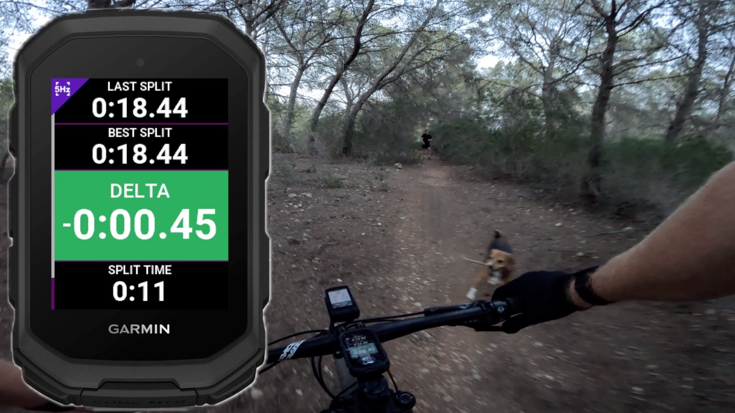TimingGate-MTB-Overlays-V2Dog.jpg TimingGate MTB Overlays V2Dog.