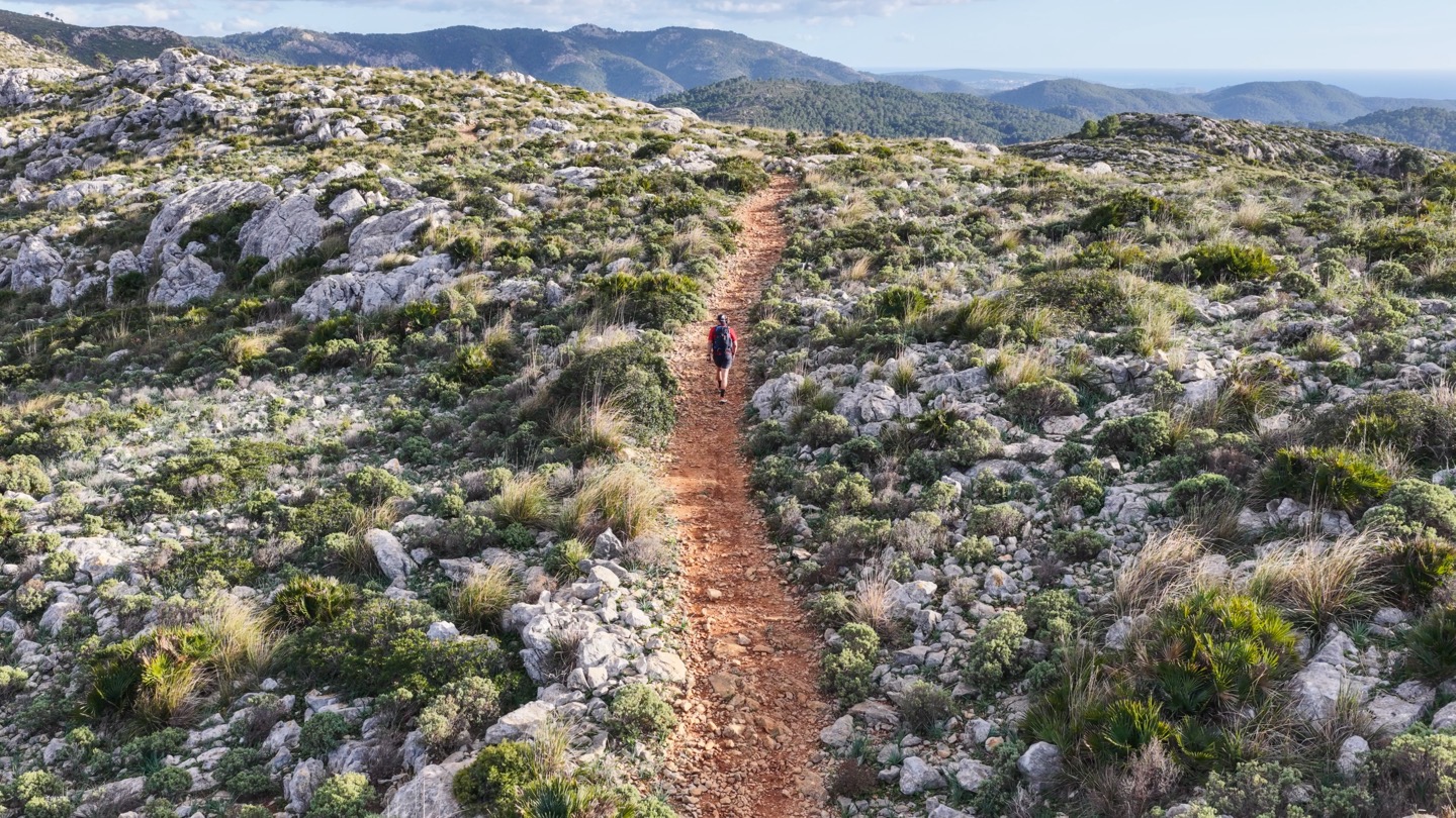 DJI 20251205151737 0062 D M4P-1.