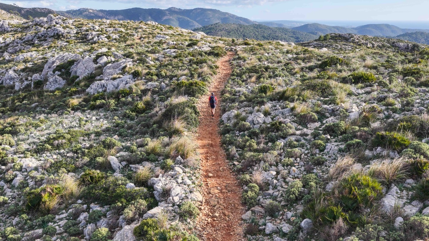 DJI_20251205151737_0062_D_M4P-1.JPG DJI 20251205151737 0062 D M4P-1.