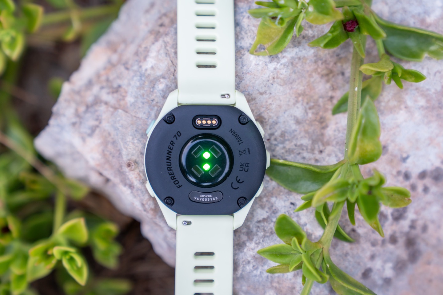 GarminFR70 Accuracy.