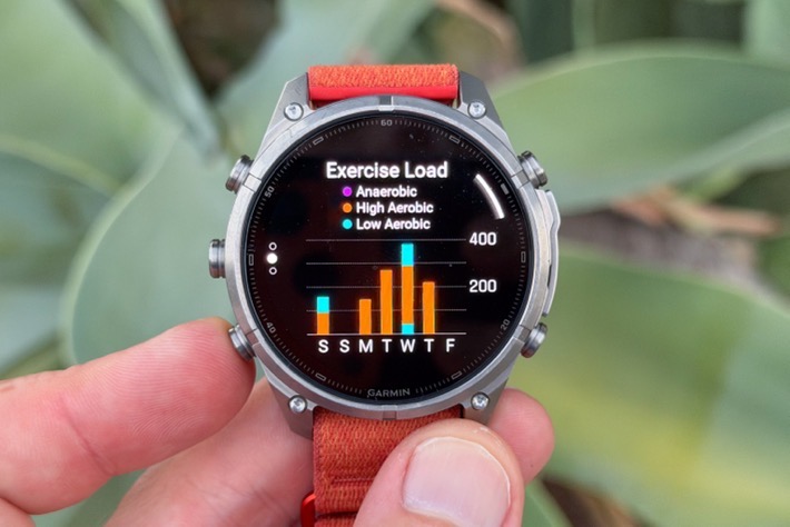 FEnix9-TrainingTypes.jpg FEnix9 TrainingTypes.