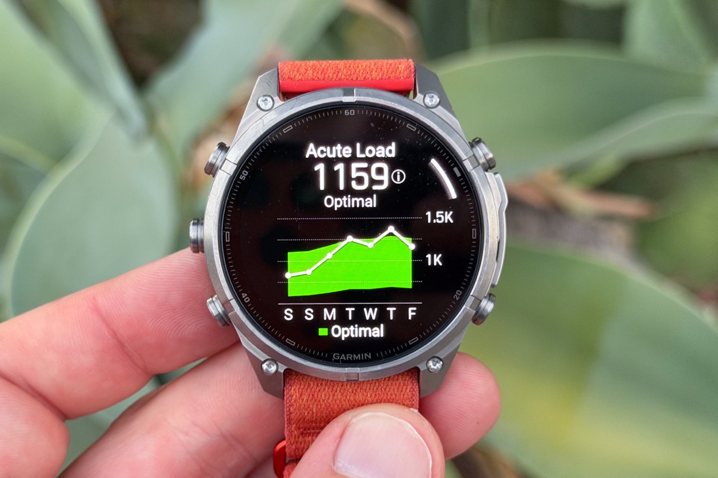 FEnix9AcuteLoad.jpg