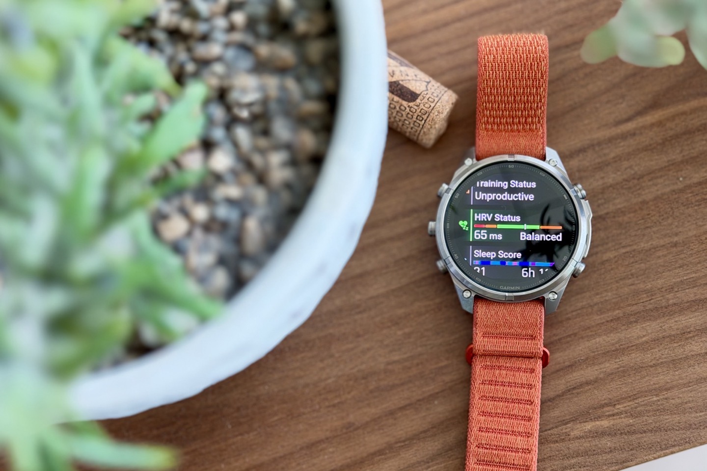 Garmin-Fenix9-Basics.jpeg Garmin Fenix9 Basics.