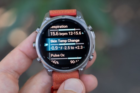 GarminHealthStatus2.jpg