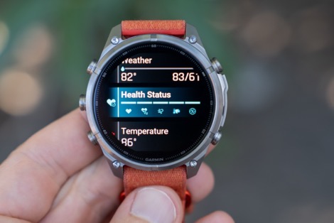 GarminHealthStatusMain.jpg